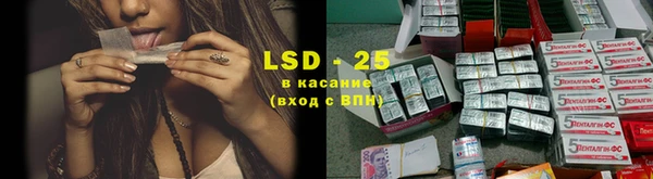 молекула духа Нефтекумск