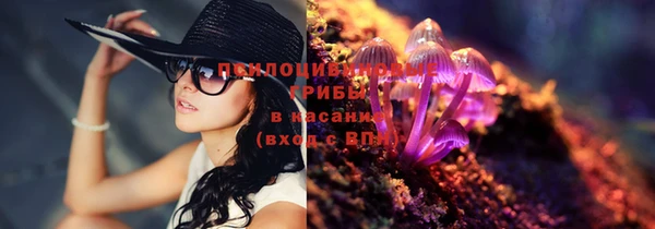спайс Нея