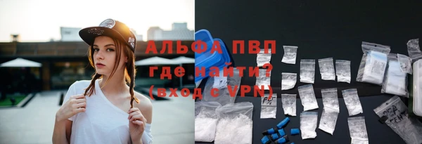 соль ск Новодвинск
