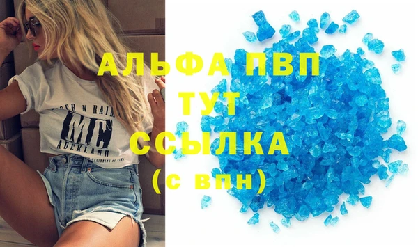 прущий лед Новозыбков