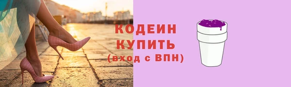 прущий лед Новозыбков