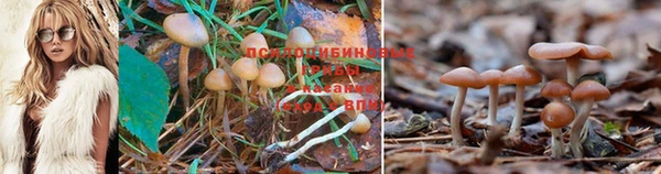 MDMA Нефтегорск